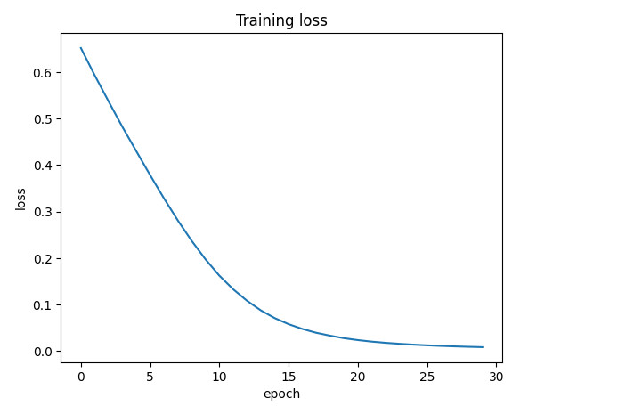 Training loss curve over 30 epochs converging from 0.65 to near zero